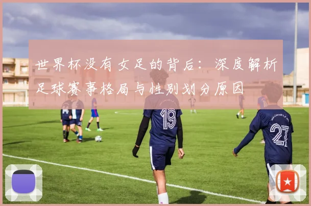 世界杯没有女足的背后：深度解析足球赛事格局与性别划分原因