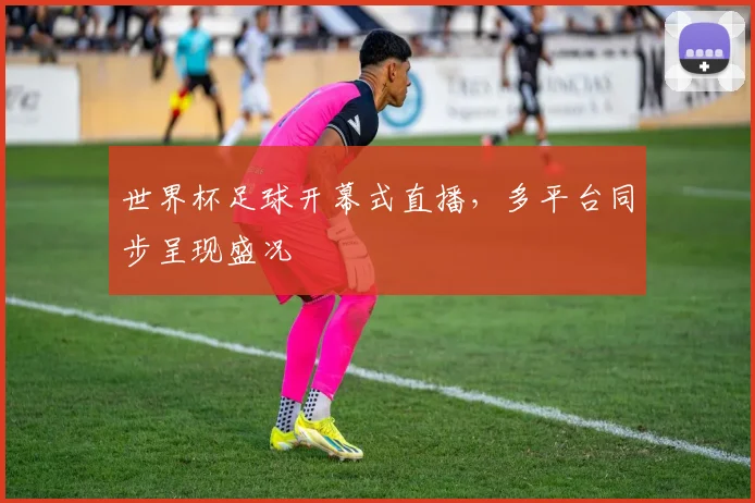世界杯足球开幕式直播,多平台同步呈现盛况