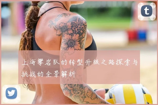上海攀岩队的转型升级之路探索与挑战的全景解析
