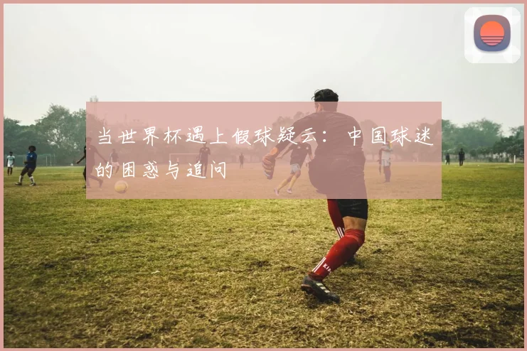 当世界杯遇上假球疑云：中国球迷的困惑与追问