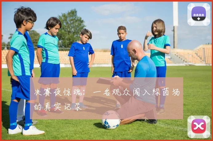 决赛夜惊魂：一名观众闯入绿茵场的真实记录