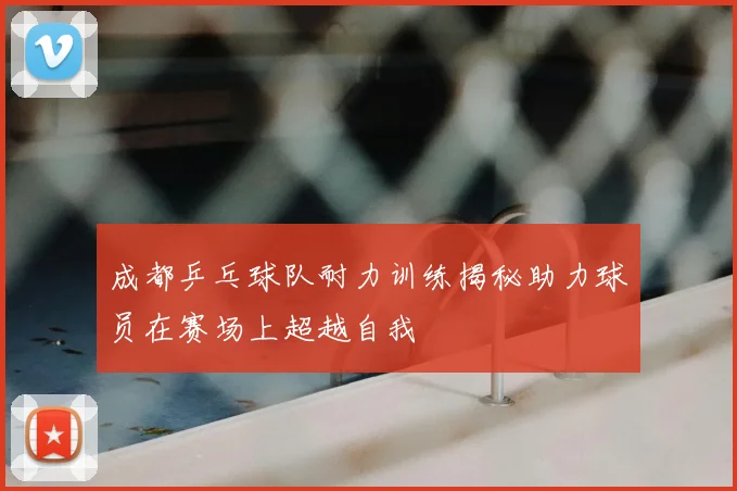 成都乒乓球队耐力训练揭秘助力球员在赛场上超越自我