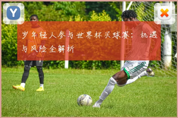 岁年轻人参与世界杯买球赛：机遇与风险全解析