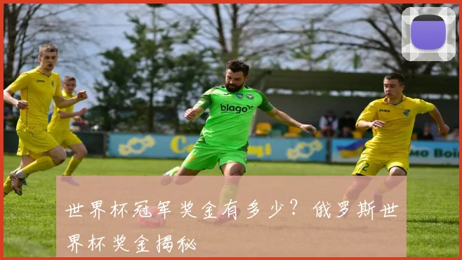 世界杯冠军奖金有多少？俄罗斯世界杯奖金揭秘