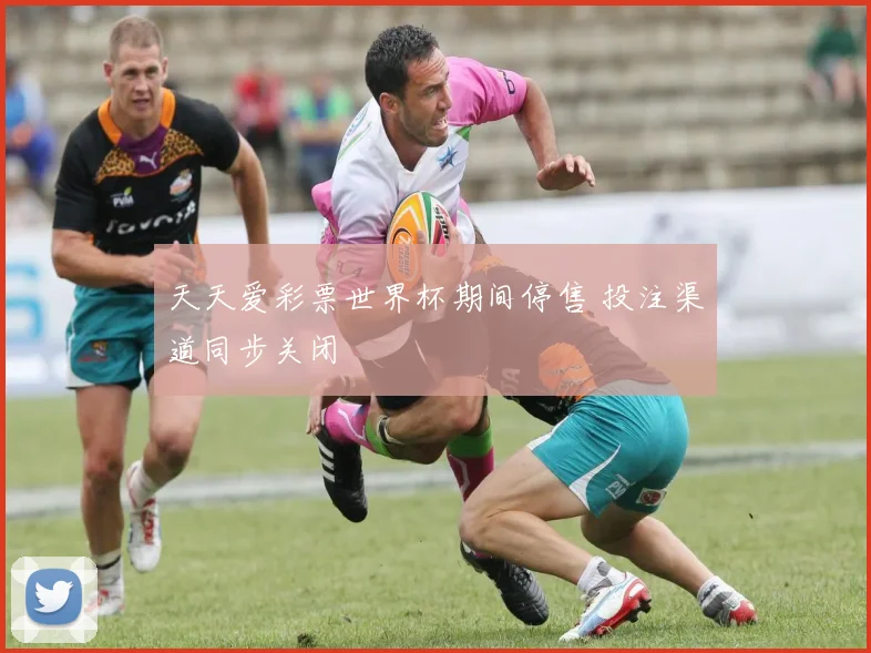 天天爱彩票世界杯期间停售 投注渠道同步关闭