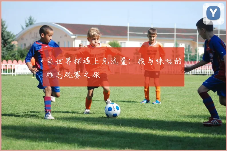 当世界杯遇上免流量：我与咪咕的难忘观赛之旅