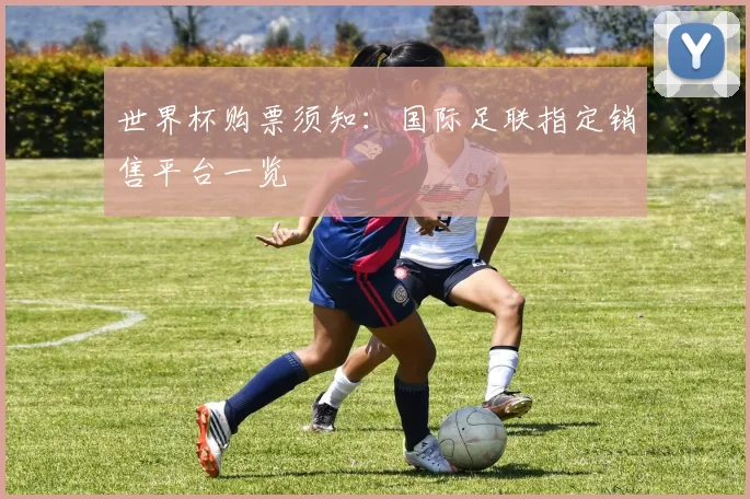 世界杯购票须知：国际足联指定销售平台一览