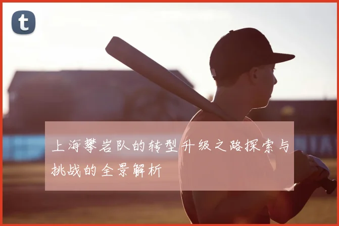 上海攀岩队的转型升级之路探索与挑战的全景解析