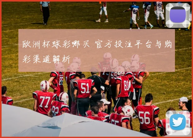 欧洲杯球彩哪买 官方投注平台与购彩渠道解析