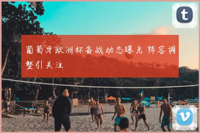 葡萄牙欧洲杯备战动态曝光 阵容调整引关注