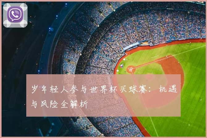 岁年轻人参与世界杯买球赛：机遇与风险全解析