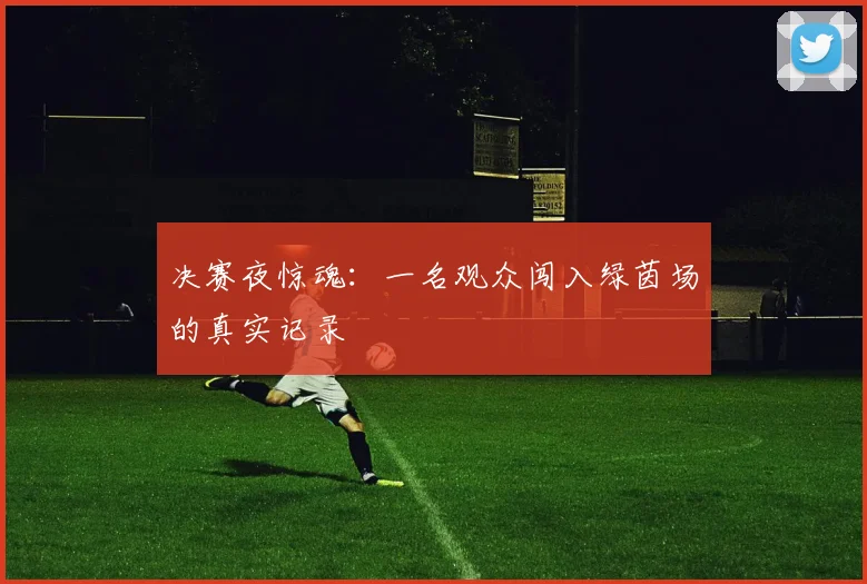 决赛夜惊魂：一名观众闯入绿茵场的真实记录